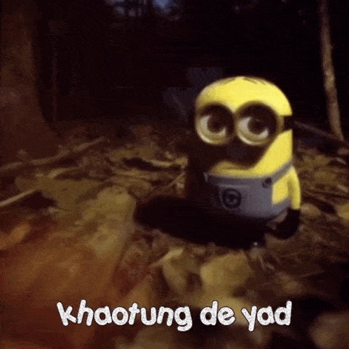 Khaotungista Khaokhao GIF