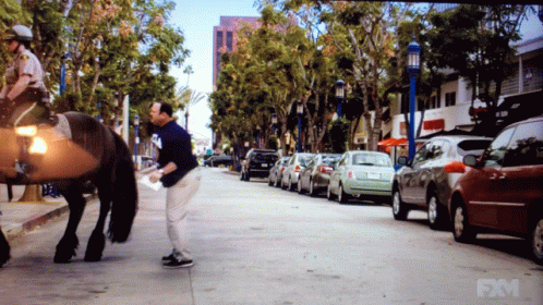 Kicc Paul Blart GIF. This 498 x 280 animated GIF is part of our horse kick collection. Related themes include horse, kick. Created by G35andgif. View the…