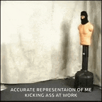 Kick Karate GIF