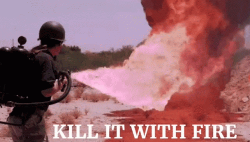 Kill It With Fire Flamethrower GIF
