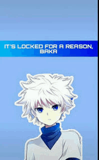 Killua Meme