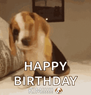 Kim Happy Birthday GIF