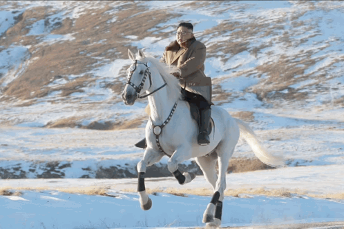 Kim Jong Un Horse GIF