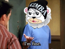 Kimba Crypto GIF. This 250 x 188 animated GIF is part of our ross im fine collection. Related themes include crypto, im fine, reaction. Created by…