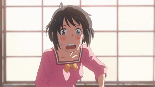 Kimi No Na Wa Anime GIF