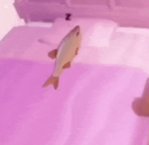 Kimyauyuyo1 Kimyauyuyor GIF