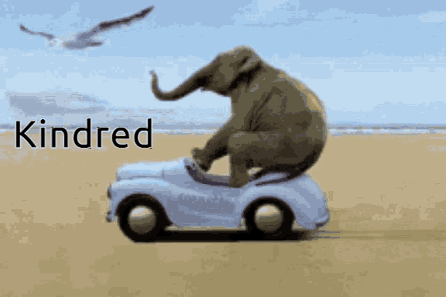 Kindred GIF