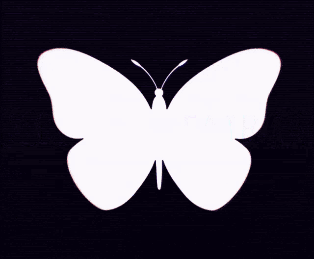 Kirigana Fairies GIF