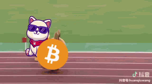 Kishu Inu Nft GIF