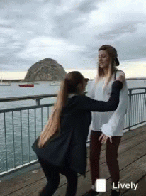 Kiss Jump Hug GIF