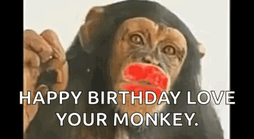 Kiss Monkey GIF
