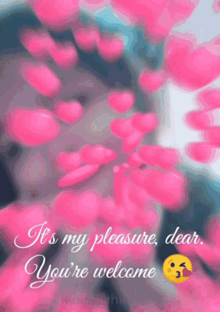 Kisses Welcome GIF