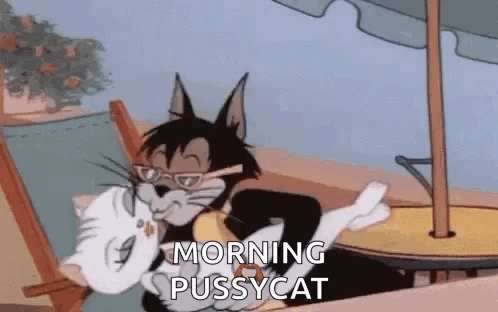 Kissing Cats GIF