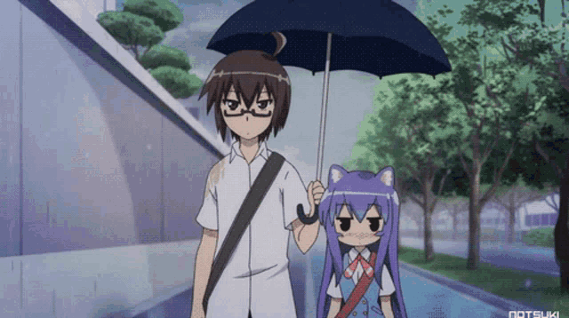 Kitten Cat GIF