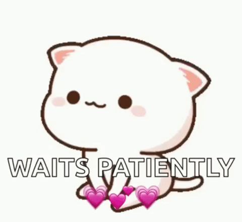 Kitten Waits Patiently GIF