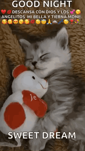 Kittensleep Cute GIF. This 282 x 498 animated GIF is part of our schlaf gut und traum was schones collection. Related themes include bonne nuit, cute…