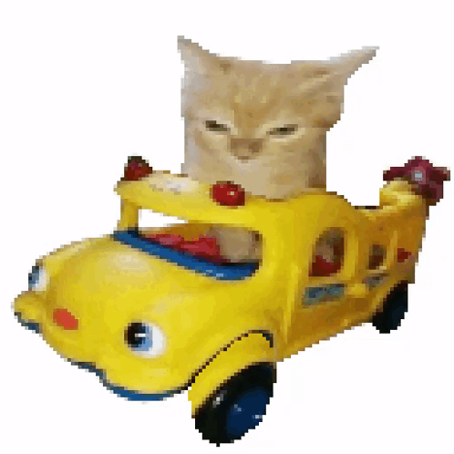Kitty Cat GIF