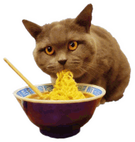 Kitty Cat Sticker