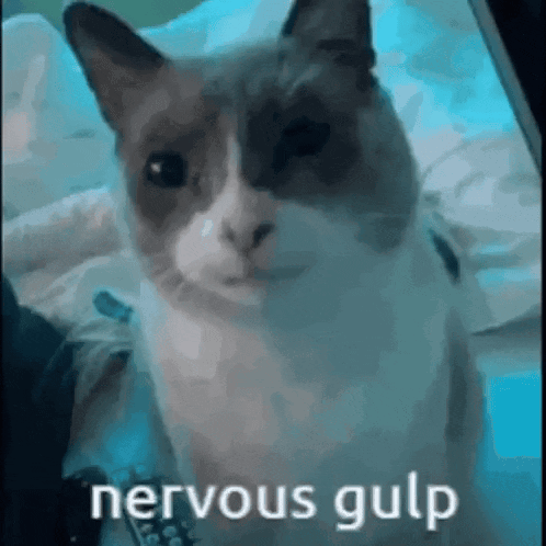 Kitty Gulp GIF