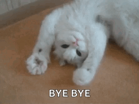 Kitty Highkitten GIF