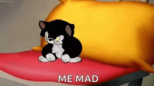 Kitty Kitten GIF. This 498 x 278 animated GIF is part of our cute tantrum collection. Related themes include annoyed, cute, kitten. Created by disnyder…