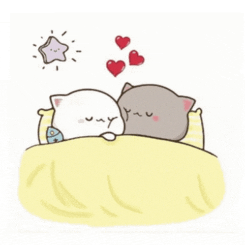 Kitty Meme