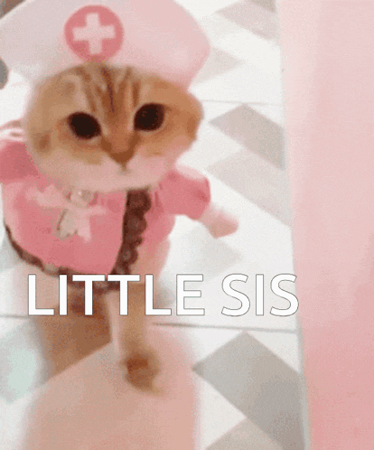 Kitty Nurse GIF