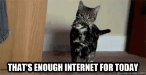 Kitty Supervision GIF