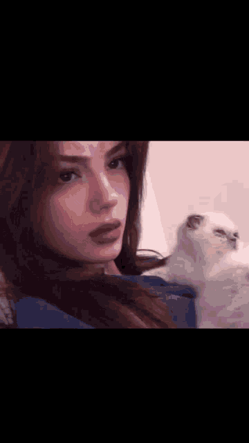 Kitty GIF