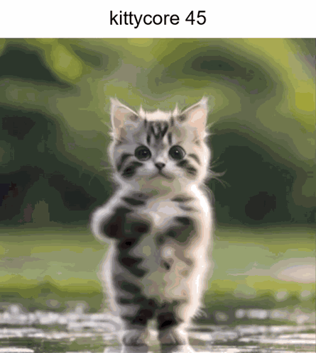 Kittycore Cat GIF