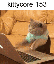 Kittycore Silly Cat GIF