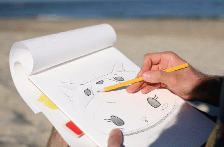 Kittyinu Kitty Inu Beach GIF