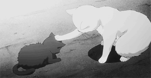Kitty'S GIF