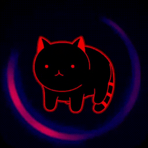 Kittyspin Ks GIF