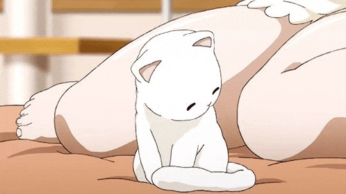 Kittyyy Discord Meme