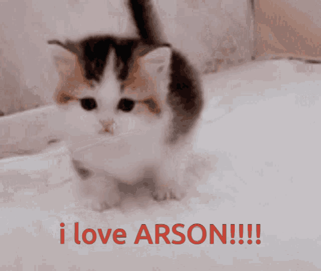 Kiwi Discord Arson GIF