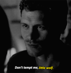 Klaus Mikaelson Vampire Diaries GIF