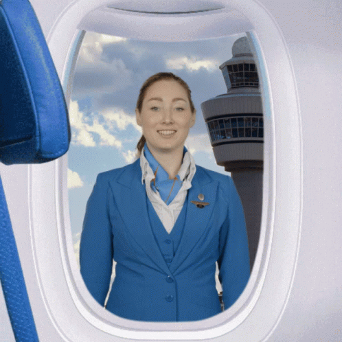 Klm Aviation GIF
