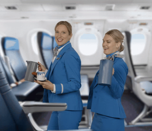 Klm Aviation GIF. This 498 x 429 animated GIF is part of our funny airplane collection. Related themes include airplane, dance, fly. Created by KLM. View…