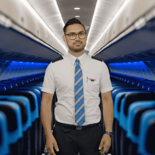 Klm Aviation GIF