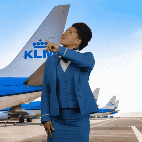 Klm Aviation GIF