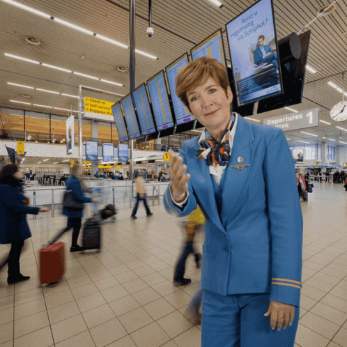 Klm Aviation GIF