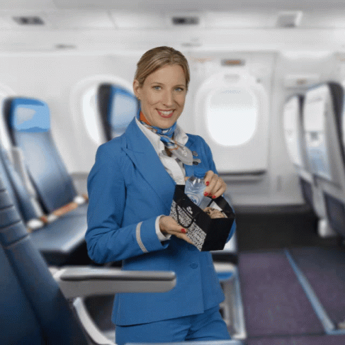 Klm Aviations GIF. This 498 x 498 animated GIF is part of our funny airplane collection. Related themes include airplane, food, holiday. Created by KLM…