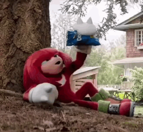 Knuckles Knuckles The Echidna GIF