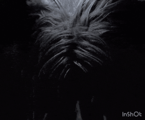 Knull Knullspace GIF