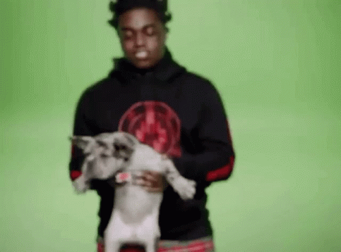 Kodak Black Kodak GIF