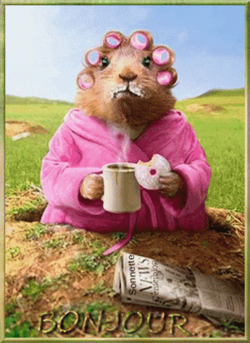 Koffie Coffee GIF