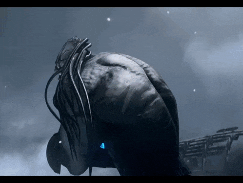 Kok Pkok GIF