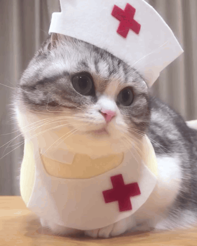 Komaru Doctor GIF