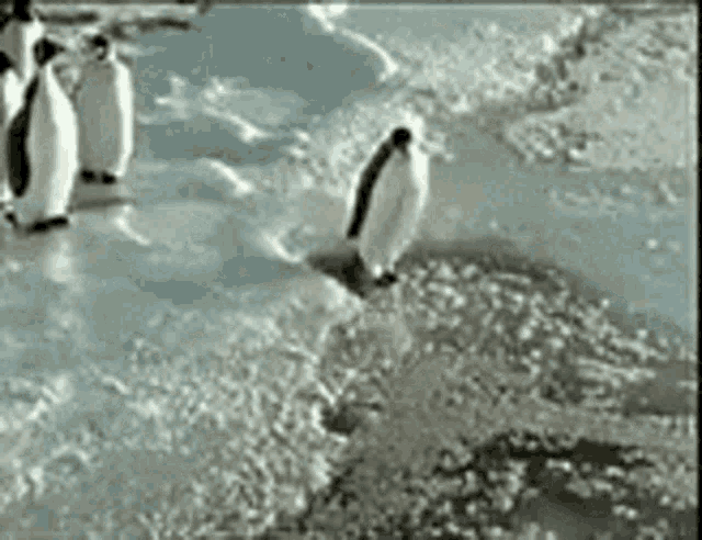 Kosteusvaurio GIF